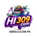 HI309 Game