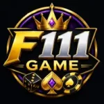 F111 Game