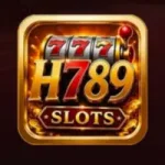 H789 Game