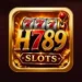 H789 Game