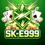 SK-E999 Game