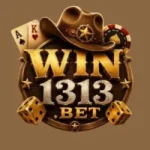 WIN1313 Game