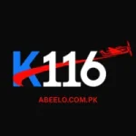 K116 Game