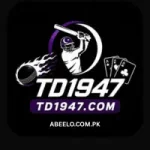 TD1947 Game